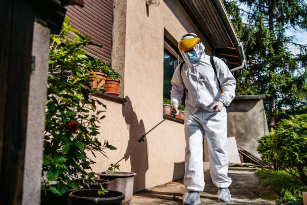 Best Best Pest Control Companies  in Saranap, CA