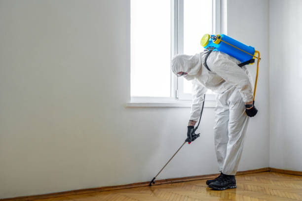 Best Pest Inspection Near Me  in Saranap, CA