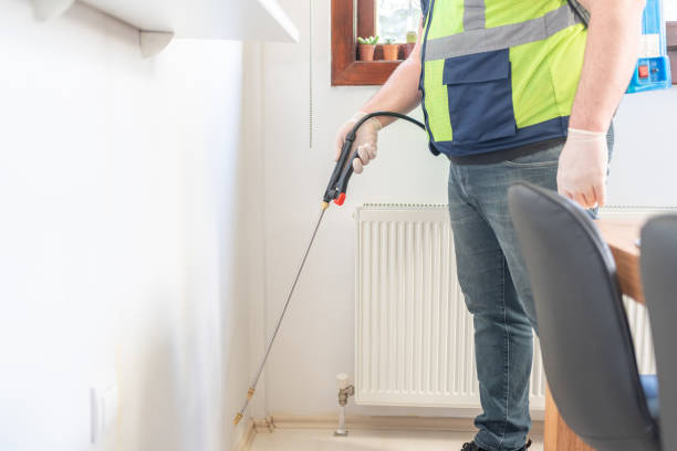 Best Residential Pest Control  in Saranap, CA