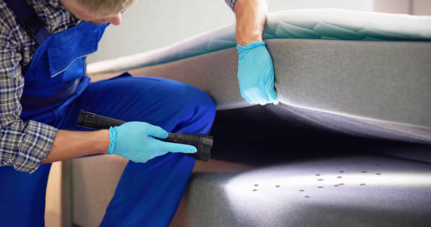 Best Exterminator Services  in Saranap, CA