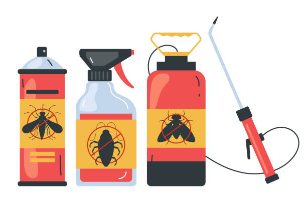 Best Bed Bug Extermination  in Saranap, CA