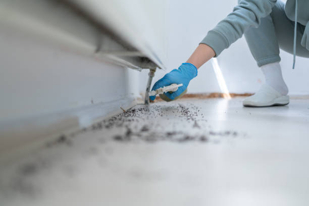 Best Affordable Pest Control Services  in Saranap, CA
